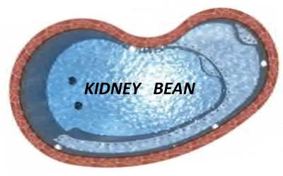 swimming-pool-kidney-bean Swimming Pool Kidney Bean Shape San Antonio